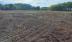 Bình Phước: Công ty tổ chức chốt cọc đất ‘vui như hội’ bị phạt 100 triệu đồng