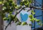 Twitter ra mắt gói 8 USD mỗi tháng với dấu xanh xác nhận tài khoản