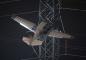 Mỹ: Giải cứu máy bay vướng vào đường dây điện cao
