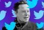 Nhân viên Twitter lo ngại về Elon Musk