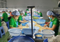 Vụ lô điều 162 tỷ nguy cơ mất trắng: Thủ tướng chỉ đạo 5 bộ vào cuộc