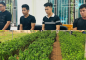 Khởi tố 4 đối tượng nhập lậu gần 100.000 cây Dó bầu từ Trung Quốc vào Việt Nam