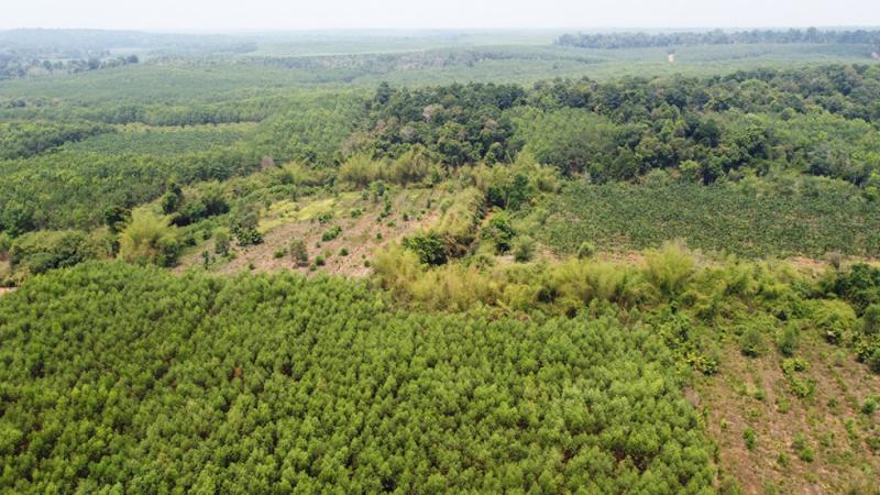 Khu bảo tồn thiên nhiên văn hóa Đồng Nai nơi có quy hoạch tuyến đường 13C. Ảnh:Phước Tuấn