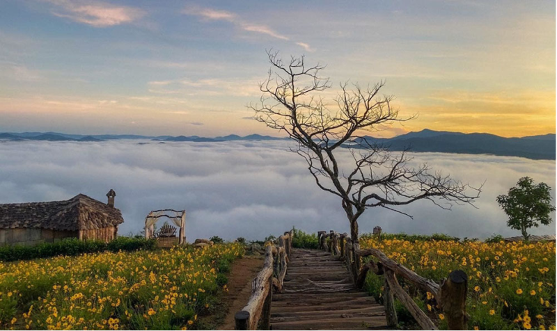 hai dia danh cnn goi y khi den chau a da lat vinh lan ha2