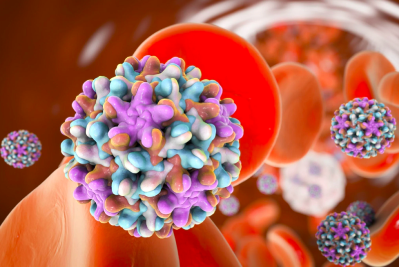 Virus viêm gan B dưới kính hiển vi phiên bản đồ họa. Ảnh: Telegraph