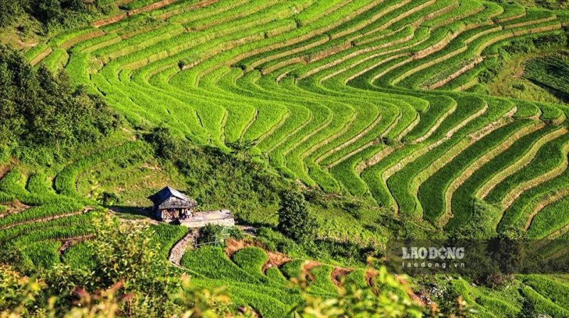 Hệ thống ruộng bậc thang tại Hà Giang - “thiết kế” rất độc đáo và đã trở thành thắng cảnh thu hút sự quan tâm của nhiều du khách. Ảnh; Văn Thành Chương