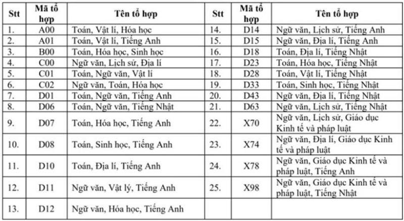 Trường Đại học Việt Nhật bỏ 10 tổ hợp xét tuyển, giữ ổn định 6 phương thức xét tuyển - 1