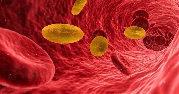 nguoi mang nhom mau nao co nguy co dot quy som cao hon nguoi mang nhom mau nao co nguy co dot quy som cao hon