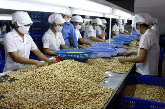toan bo 100 container hat dieu bi mat kiem soat da duoc tra lai cho doanh nghiep viet dspl