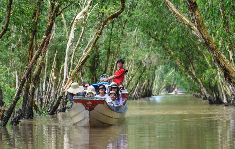 Du khách tham quan rừng tràm Trà Sư ở An Giang. Ảnh: Kiều Dương