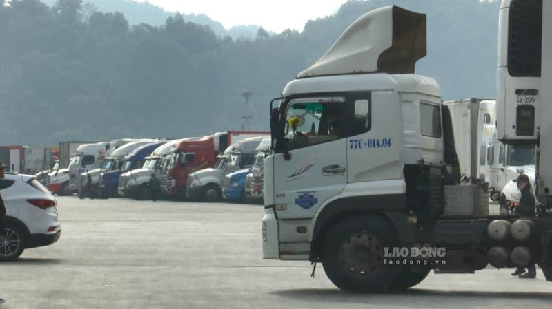 Bà Phạm Thu Hằng - Phó phát ngôn Bộ Ngoại giao. Ảnh: Nhật Hạ