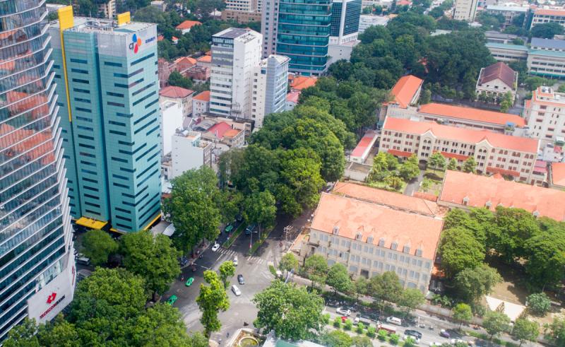 Hàng cổ thụ đường Tôn Đức Thắng trước khi bị di dời, đốn hạ, năm 2017. Ảnh: Quỳnh Trần