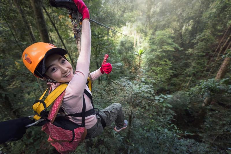 Đu dây mạo hiểm qua khu rừng nhiệt đới ở Lào như một phần của đường zip Gibbon Experience Treetop. Ảnh: Shutterstock