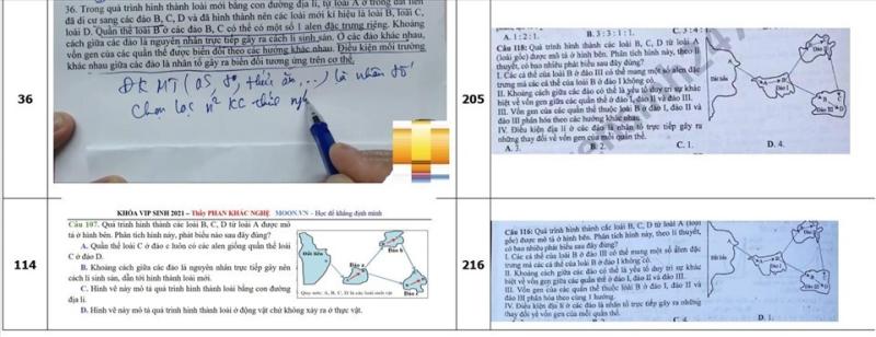 Một số so sánh trùng hợp giữ đề ôn của thầy Nghệ và đề thi chính thức tốt nghiệp THPT môn Sinh học năm 2021. Ảnh: ĐĐH.