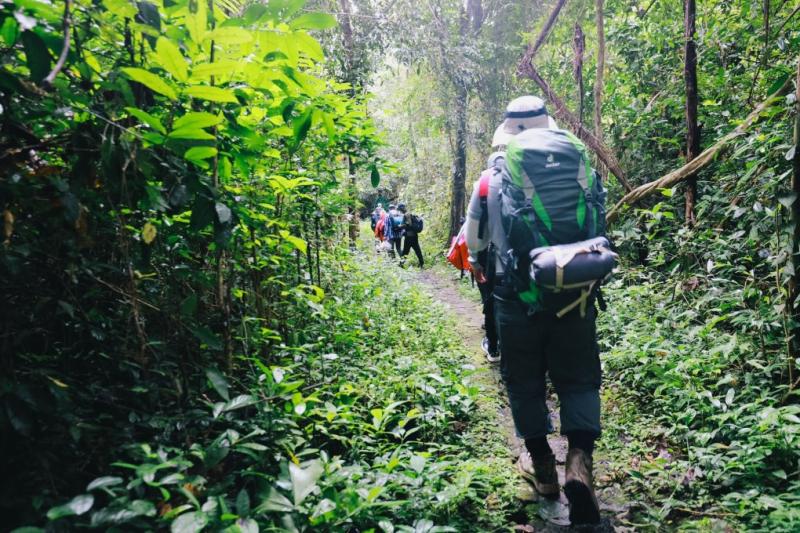 Trekking khám phá rừng Cát Tiên Đến rừng Cát Tiên bạn không chỉ đi tour du lịch đơn thuần, mà còn được tham gia chuyến đi nghỉ dưỡng kết hợp giáo dục. Cả trẻ em và người lớn đều có thể khám phá học hỏi nhiều điều thú vị từ thiên nhiên, từ đó có ý thức bảo vệ môi trường và nâng cao tình yêu đối với các loài động thực vật quý hiếm. Đặc biệt với các gia đình đi rừng Cát Tiên, trẻ em được thực hành tại chỗ nhưng kỹ năng sinh tồn, còn cha mẹ có cơ hội kết nối với con nhiều hơn. Ngoài những tour đi bộ khám phá, tham quan trung tâm cứu hộ gấu đầu tiên ở Việt Nam, ngắm thú đêm cũng là các trải nghiệm thú vị. Ảnh: Transviet